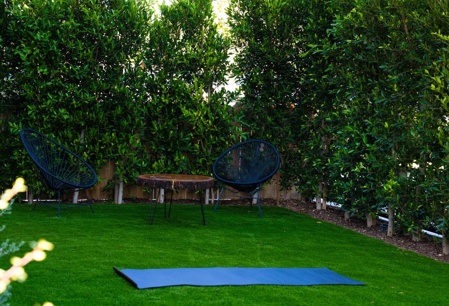 Backyard garden with yoga mat and seating