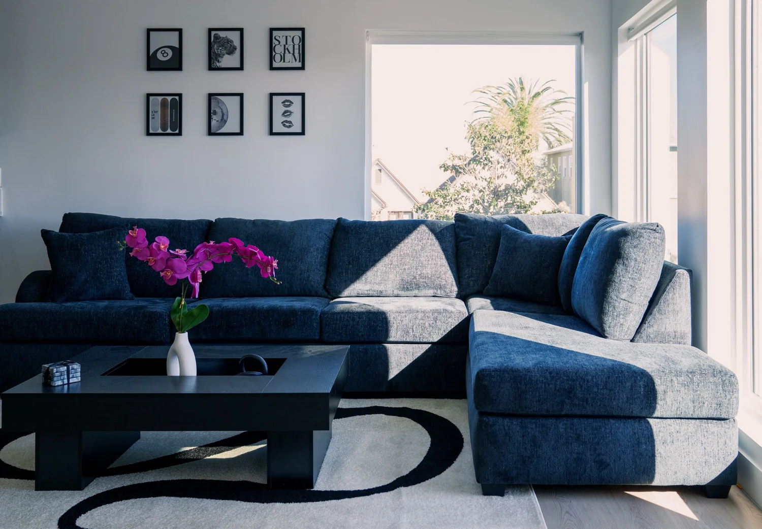 Sunlit living room with navy sectional sofa, orchids and framed art